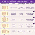 Breast Development Stages & What To Use?