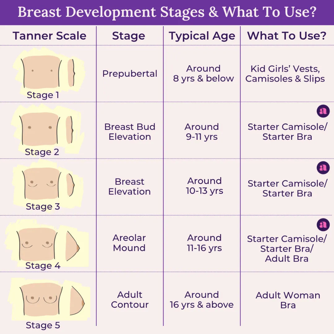 Breast Development Stages & What To Use?