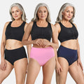 Cotton Panty For Older Women Black, Navy Blue & Light Pink
