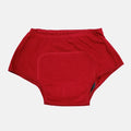Reusable Teen Boxer Period Panties Maroon Pack Of 1
