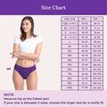 Size Chart For Period Hipster
