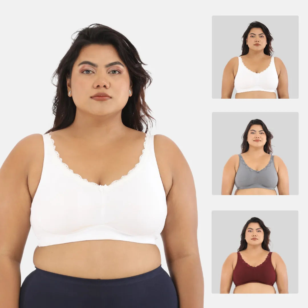 daily wear bra for heavy bust - White,Steel Grey,Wine