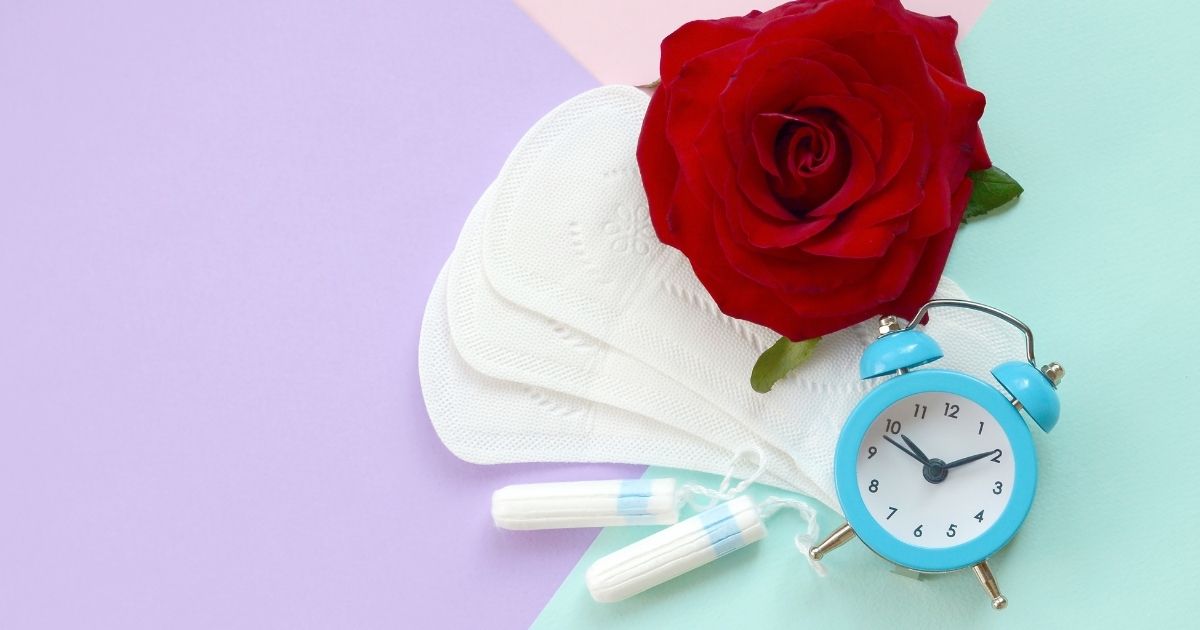 Close-up view of a red rose