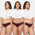 Bikini Panties For Plus Size - Wine