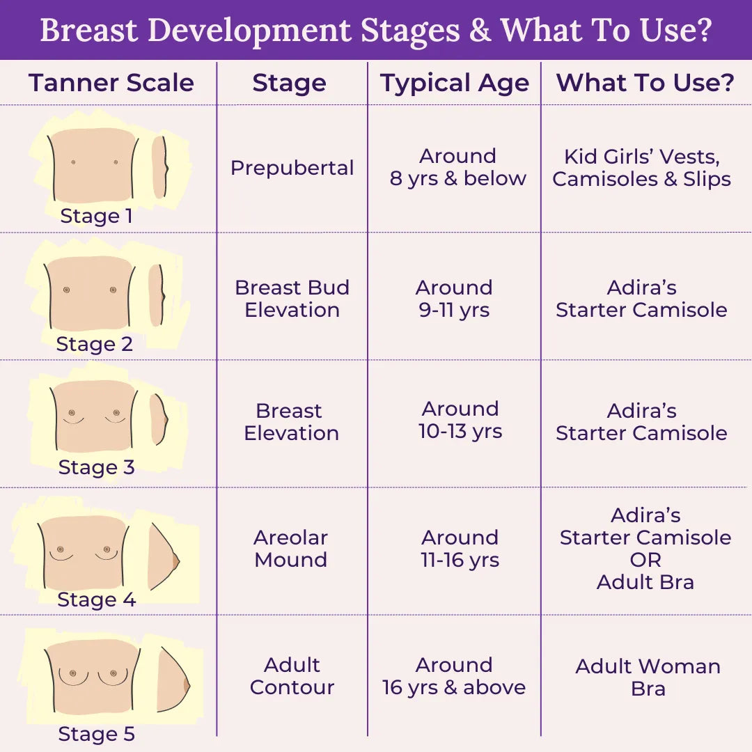 Breast Development Stages & What To Use?