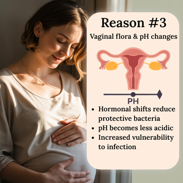 Pregnant woman holding her belly with an illustration of vaginal flora and pH changes.