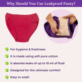 Why Should You Use Leakproof Panty?