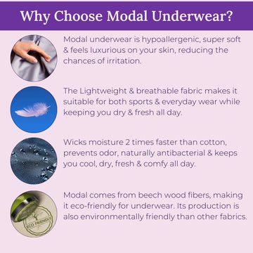 Womens Modal Underwear 