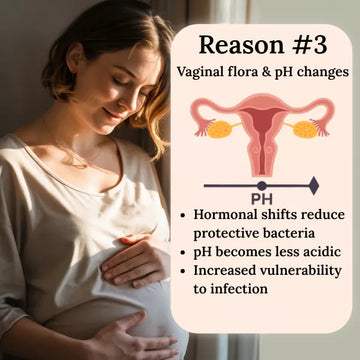 Pregnant woman holding her belly with an illustration of vaginal flora and pH changes.